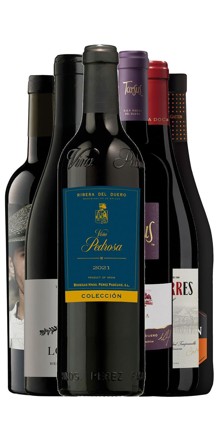 Panorámica vinícola SUMA 2023 – de Vinoselección – en Vinoselección