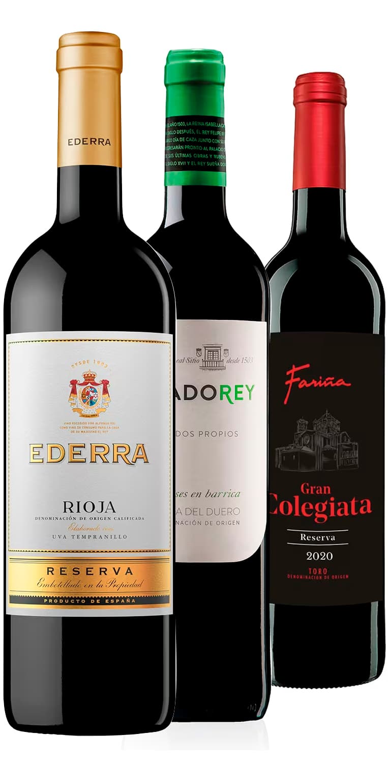 Panorámica vinícola SUMA 2025 – de Vinoselección – en Vinoselección