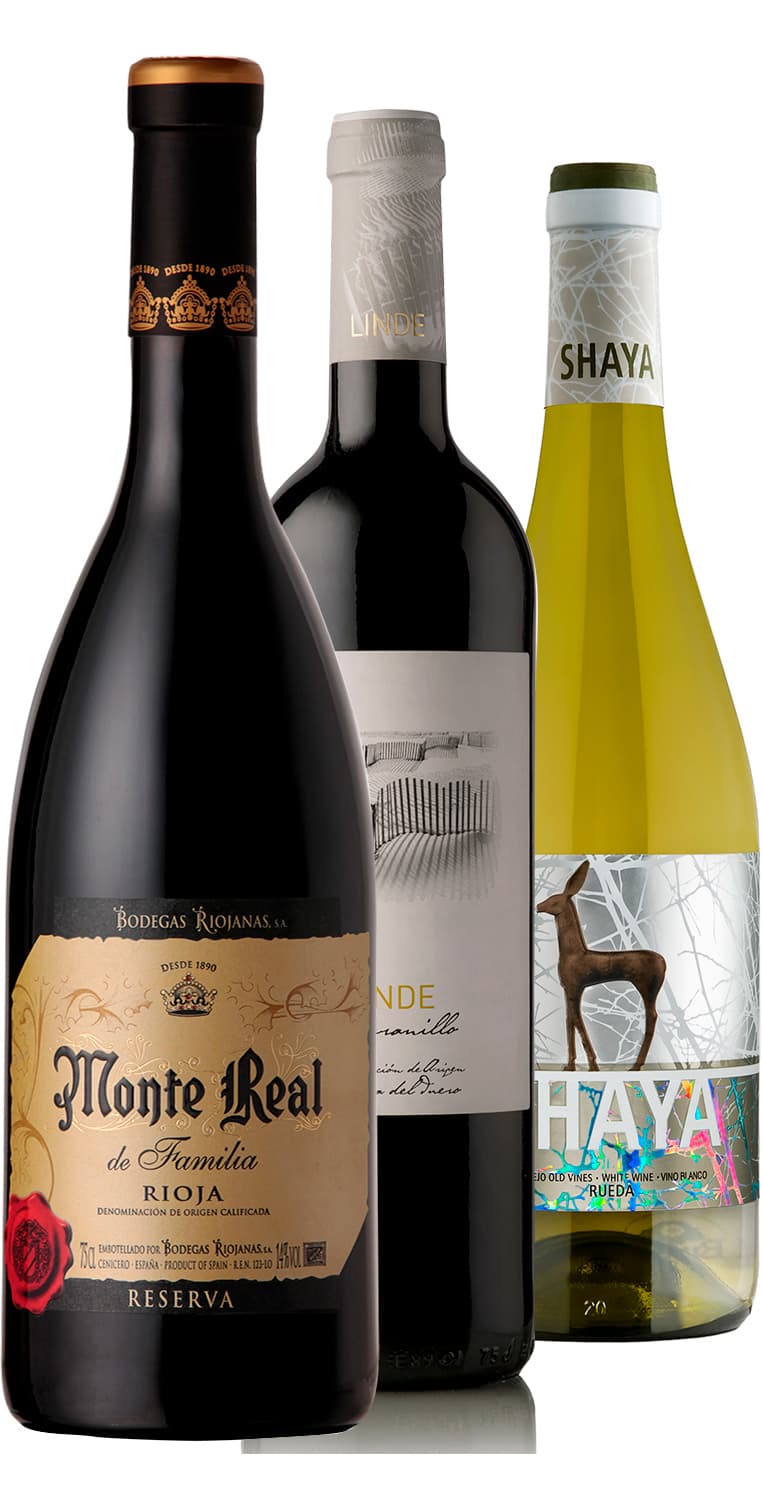 Panorámica vinícola verano 2021 – de Vinoselección – en Vinoselección