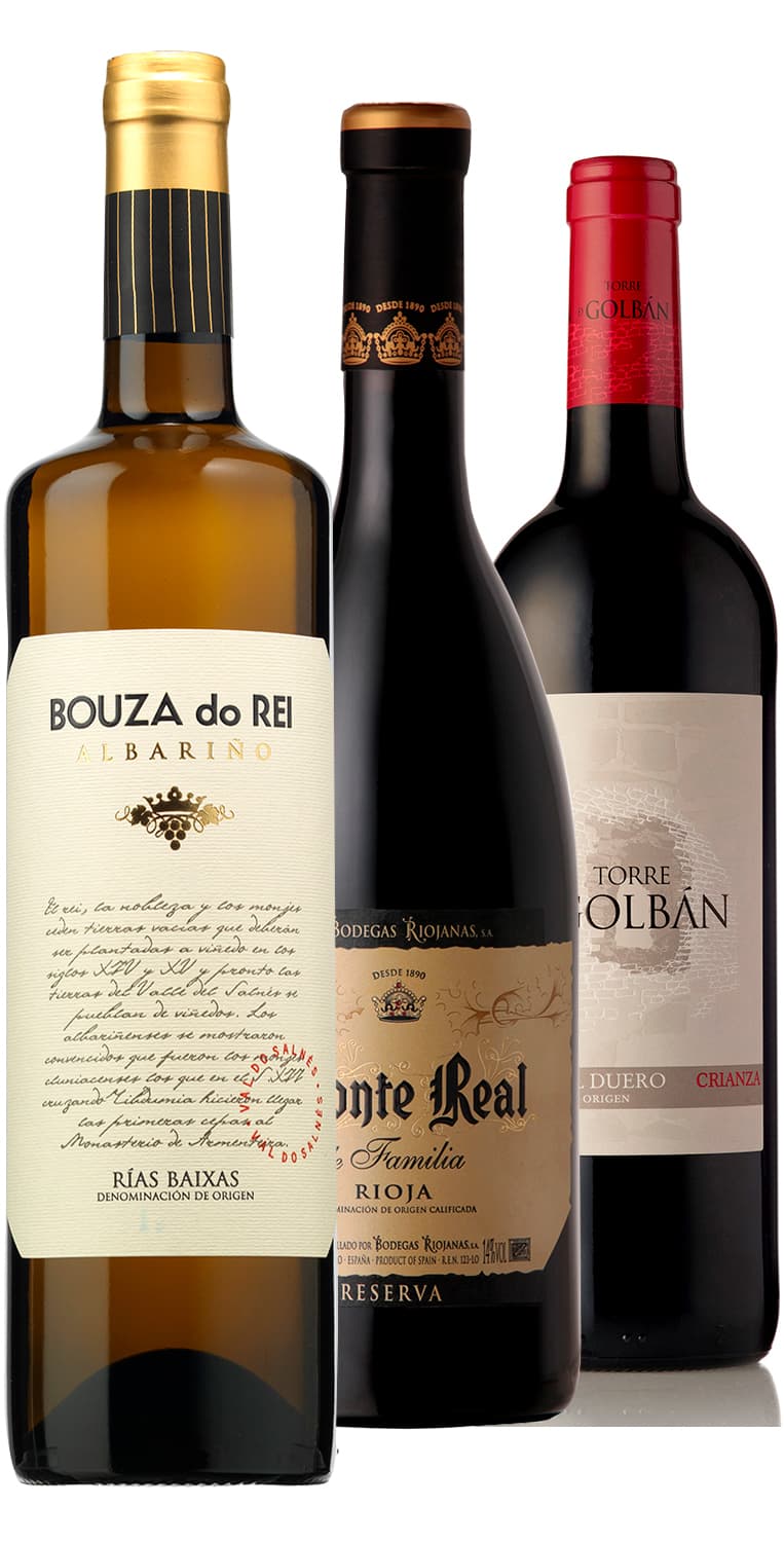 Panorámica vinícola septiembre 2021 – de Vinoselección – en Vinoselección
