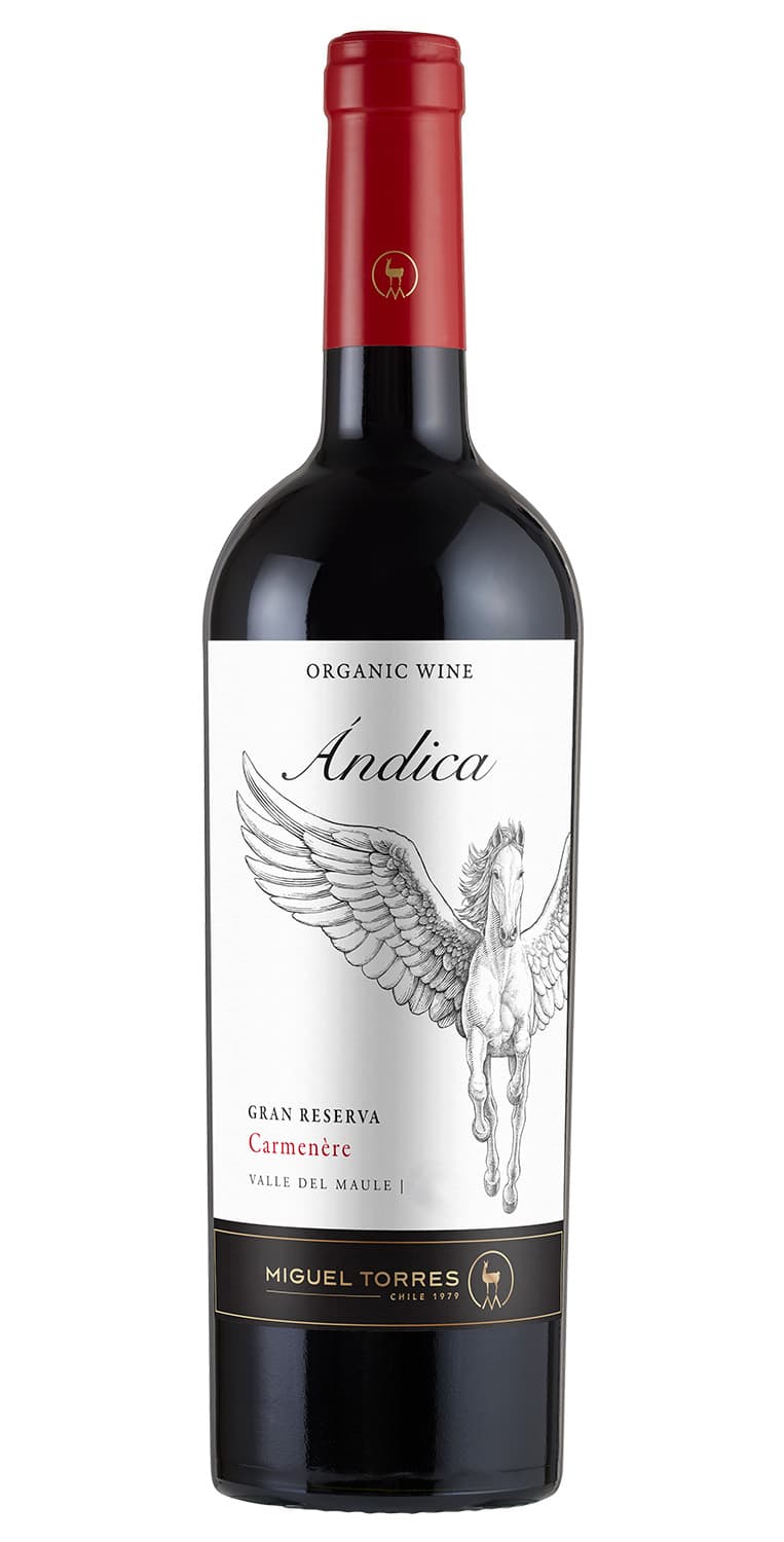 Ándica Carmenère 2024 – de Vinoselección – en Vinoselección