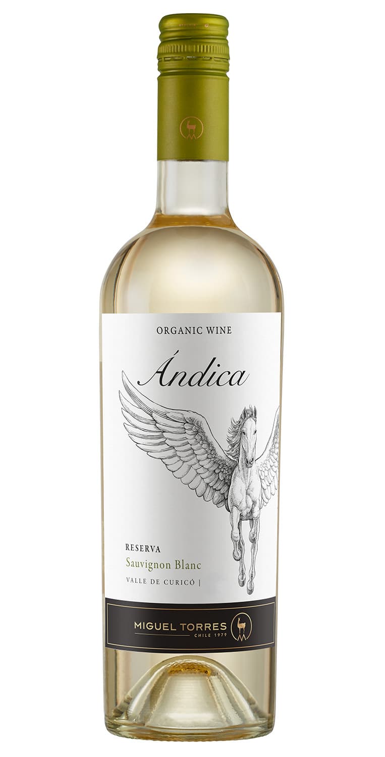 Ándica Sauvignon Blanc 2025 – de Vinoselección – en Vinoselección