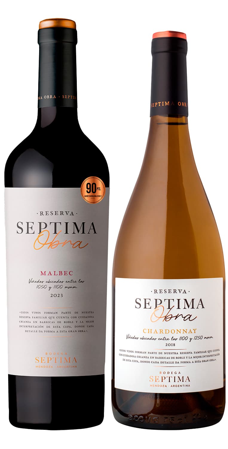 Colección Vinos de Mendoza – de Vinoselección – en Vinoselección