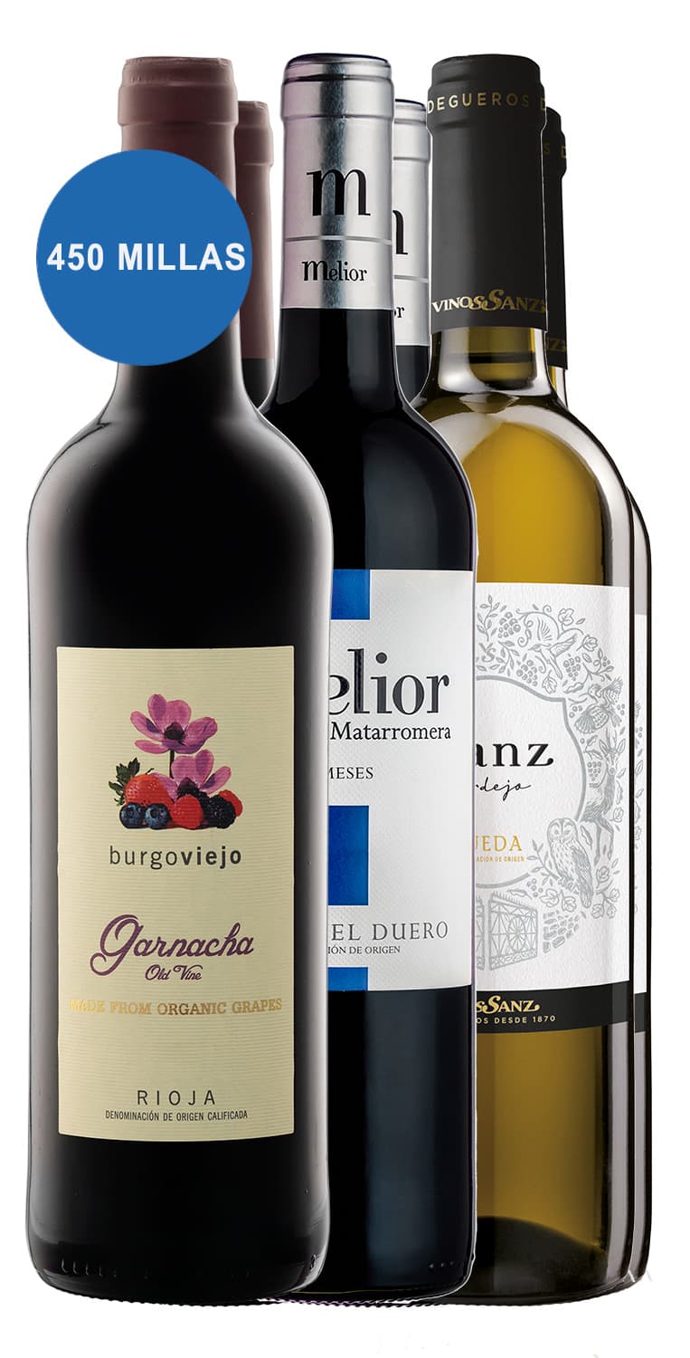 Panorámica vinícola SUMA – Primavera – de Vinoselección – en Vinoselección