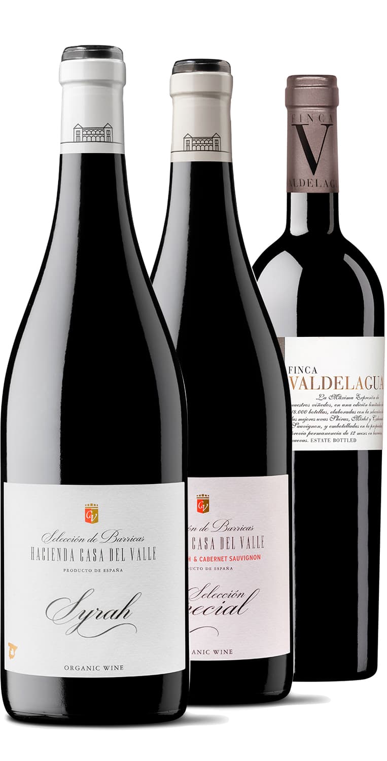 Casa del Valle – de Vinoselección – en Vinoselección