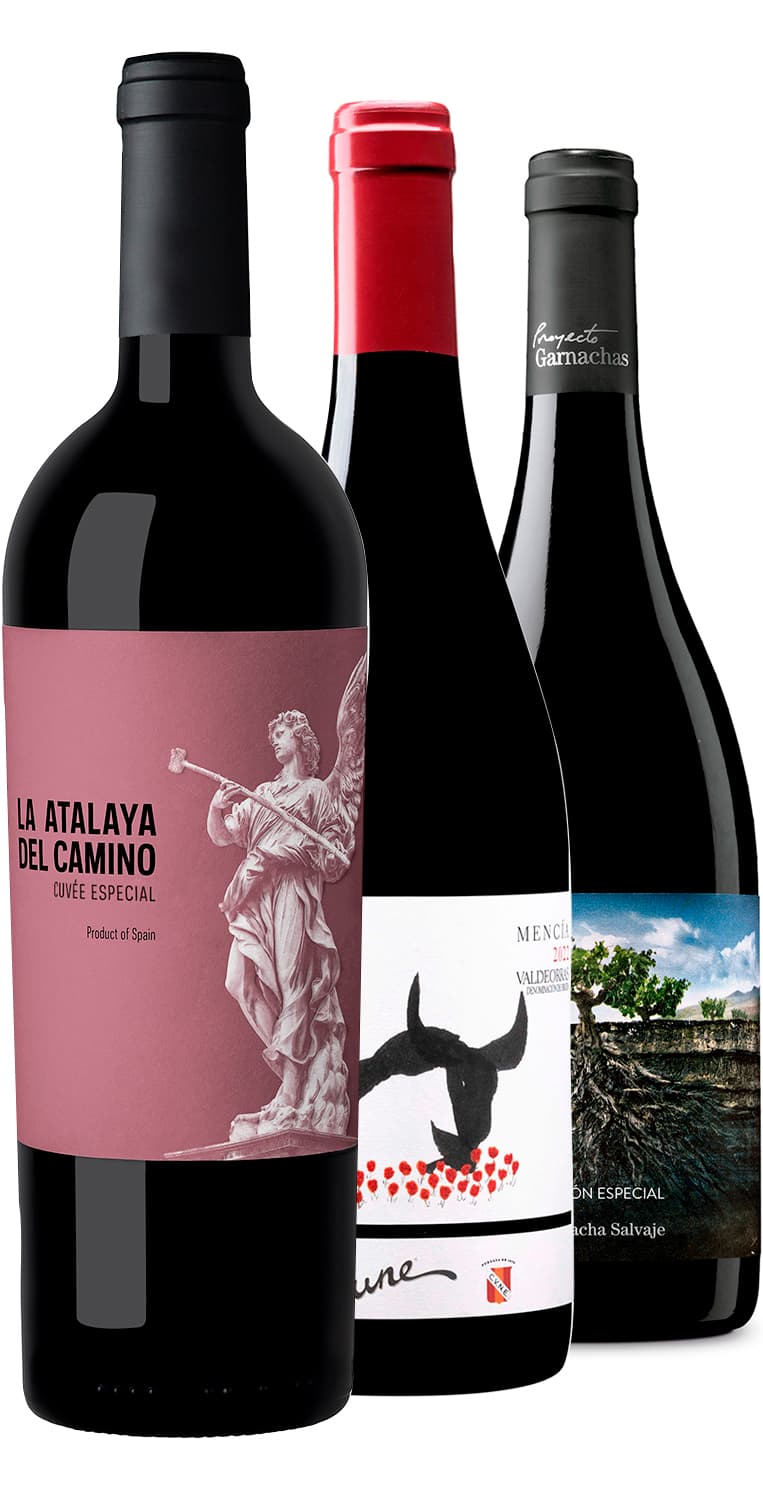 Colección Otras Denominaciones de Origen – Octubre 2023 – de Vinoselección – en Vinoselección