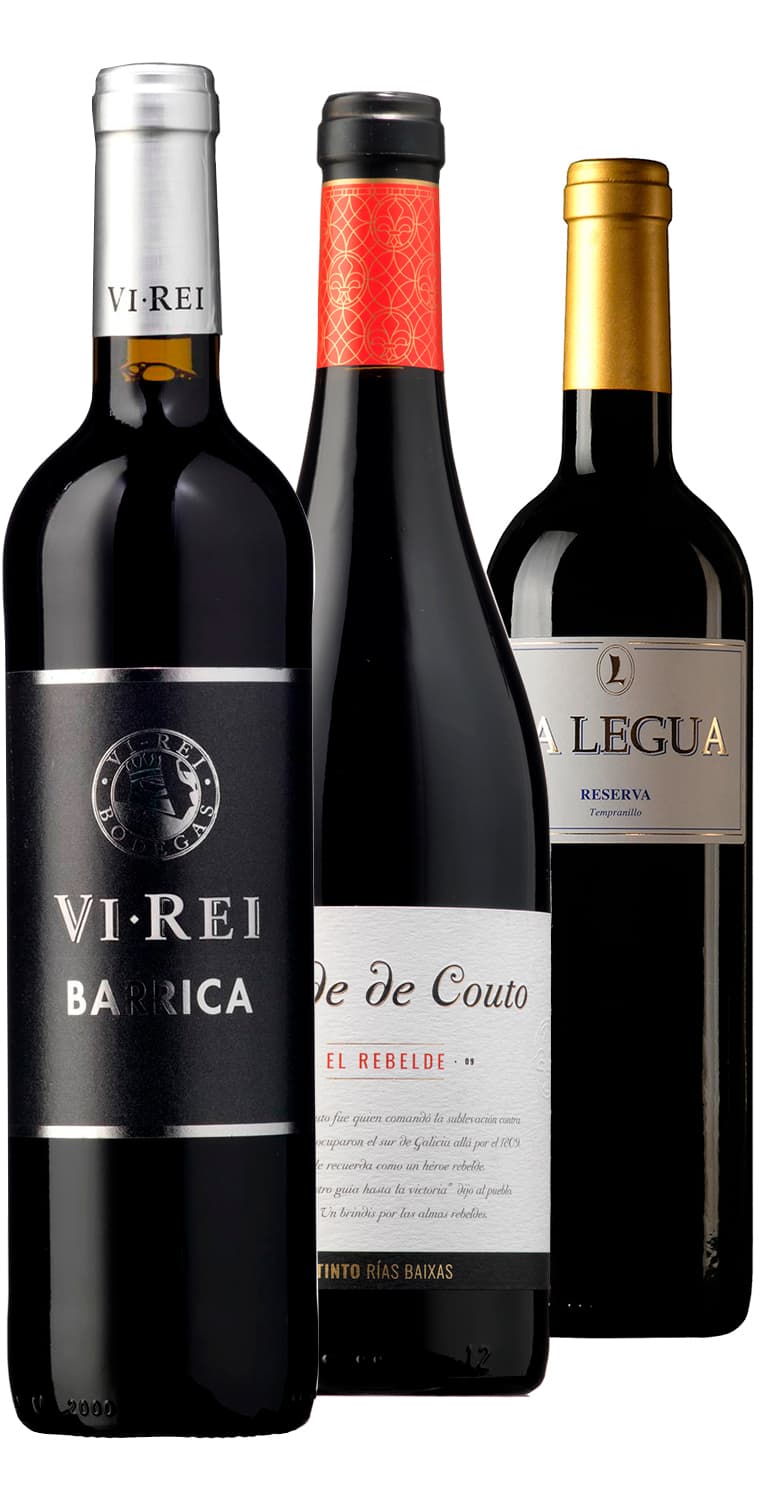 Hombro con Hombro – Pequeñas bodegas 2020 – de Vinoselección – en Vinoselección
