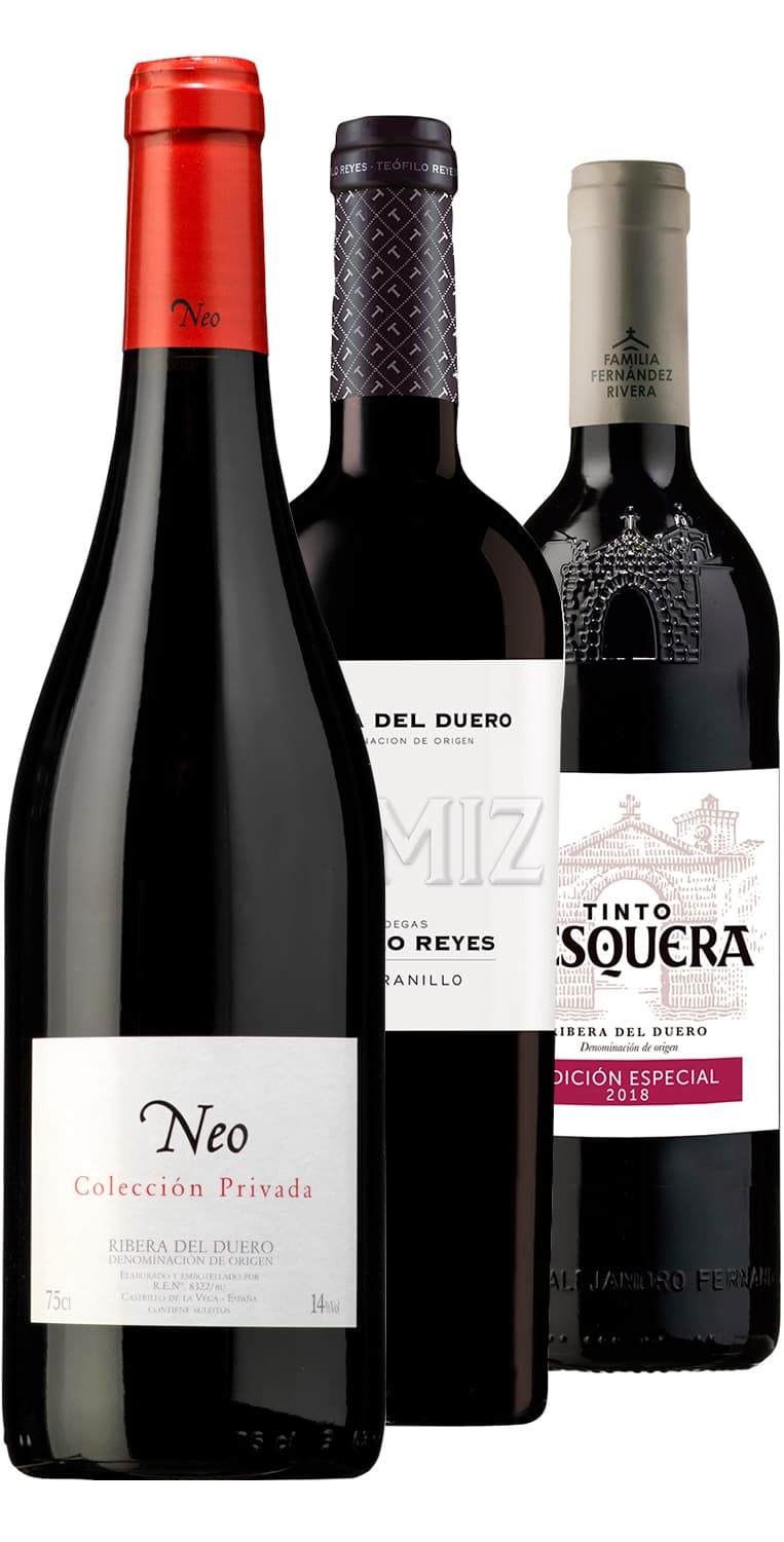 SEPTIEMBRE MES DEL VINO – Colección Ribera del Duero – de Vinoselección – en Vinoselección