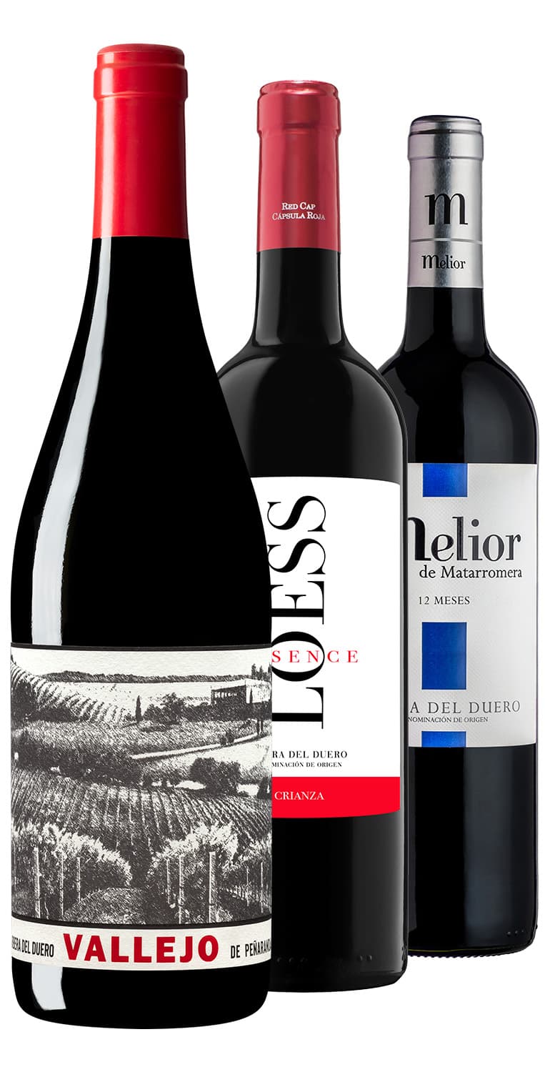 Colección Ribera del Duero esencial: tres joyas que no te puedes perder – de Vinoselección – en Vinoselección