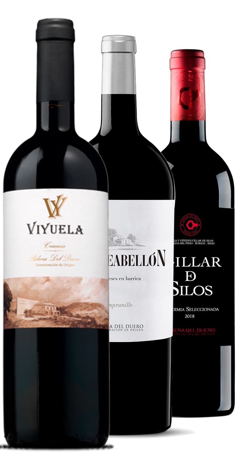 Hombro con Hombro – Ribera del Duero (II) 2020 – de Vinoselección – en Vinoselección