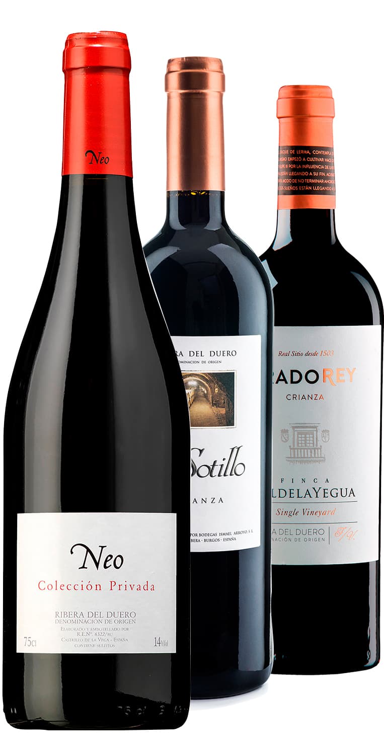 Colección Ribera del Duero – Navidad 2021 – de Vinoselección – en Vinoselección