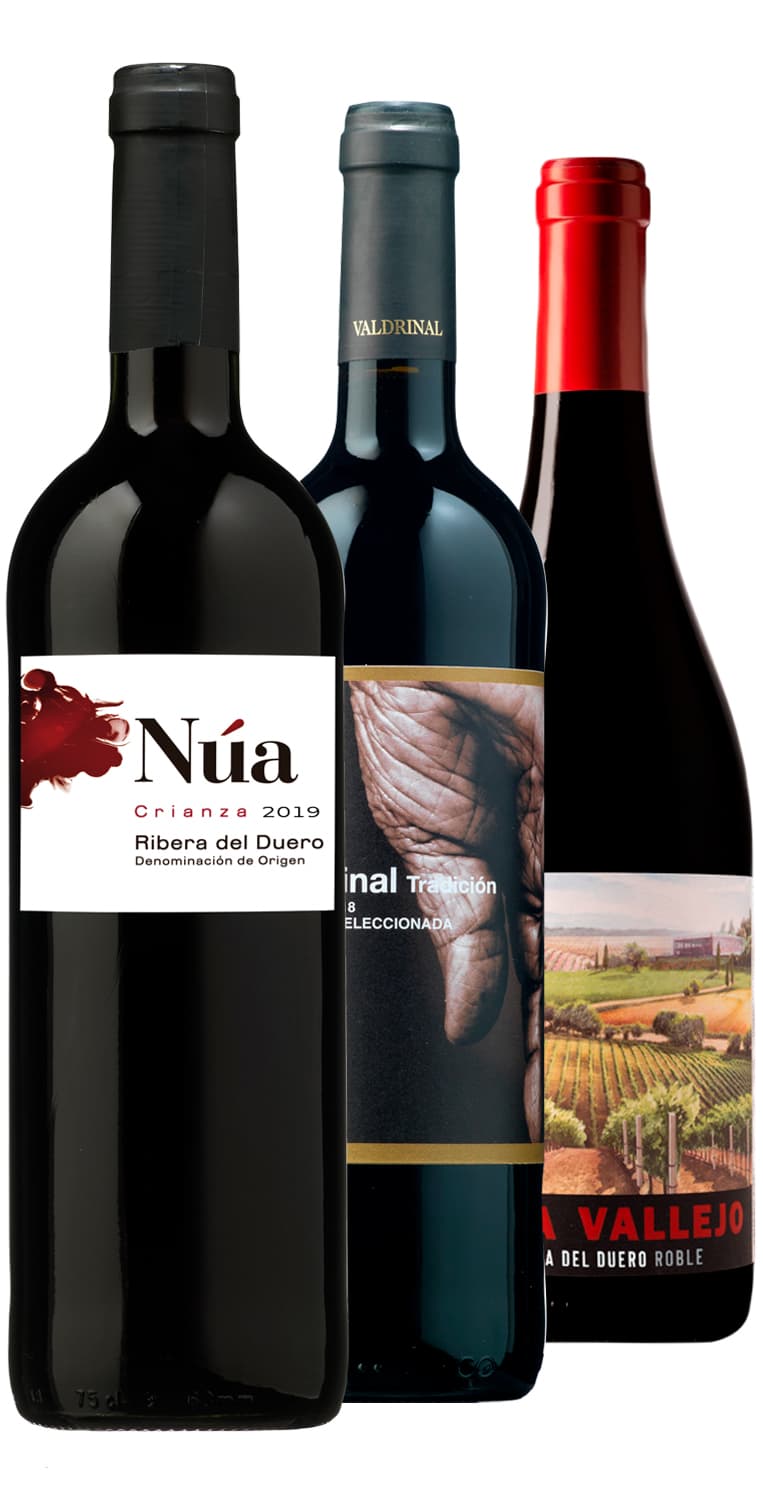Colección ‘Momentos’ Ribera del Duero – de Vinoselección – en Vinoselección
