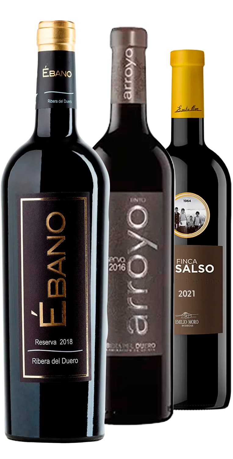 Colección Ribera del Duero Navidad 2022 (II) – de Vinoselección – en Vinoselección