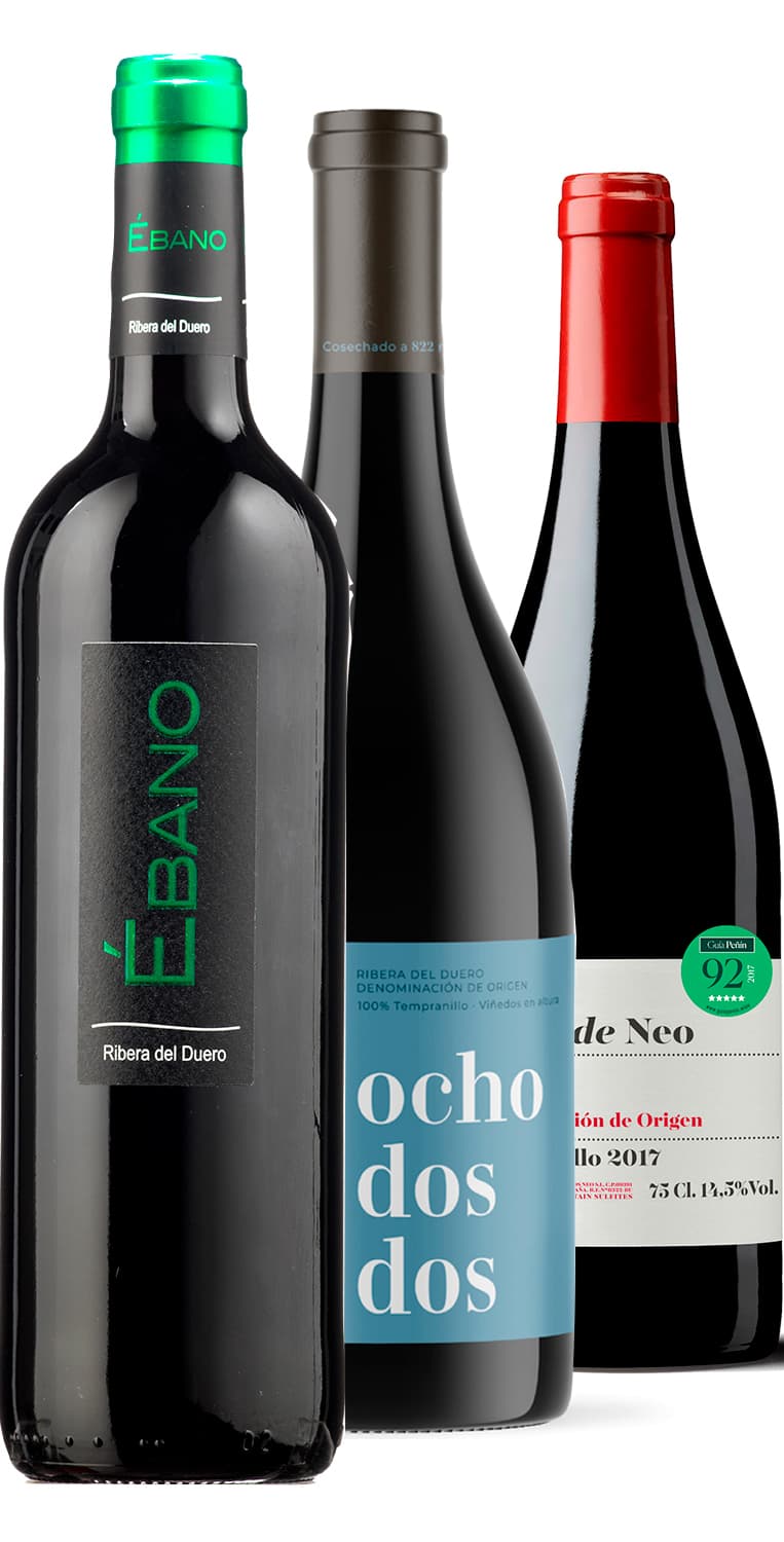 Colección Ribera del Duero – Enero 2024 – de Vinoselección – en Vinoselección