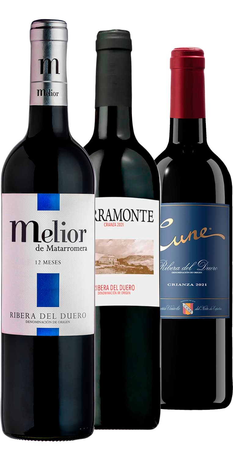 Colección Ribera del Duero Verano 2024 – de Vinoselección – en Vinoselección