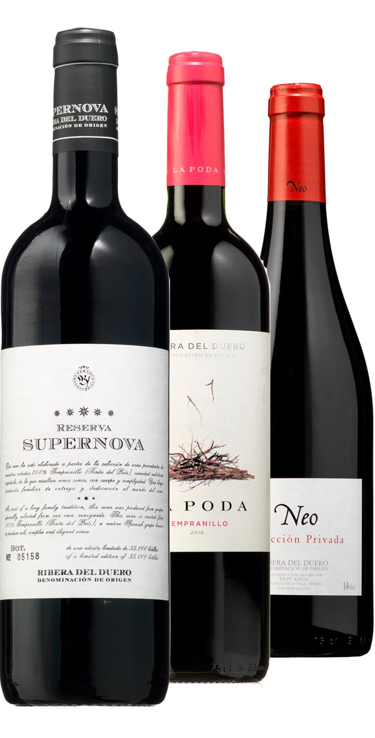 Colección Ribera del Duero II – Otoño 2020 – de Vinoselección – en Vinoselección