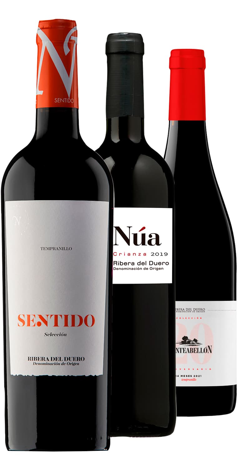 Colección Ribera del Duero – Septiembre Mes del Vino 2024 – de Vinoselección – en Vinoselección