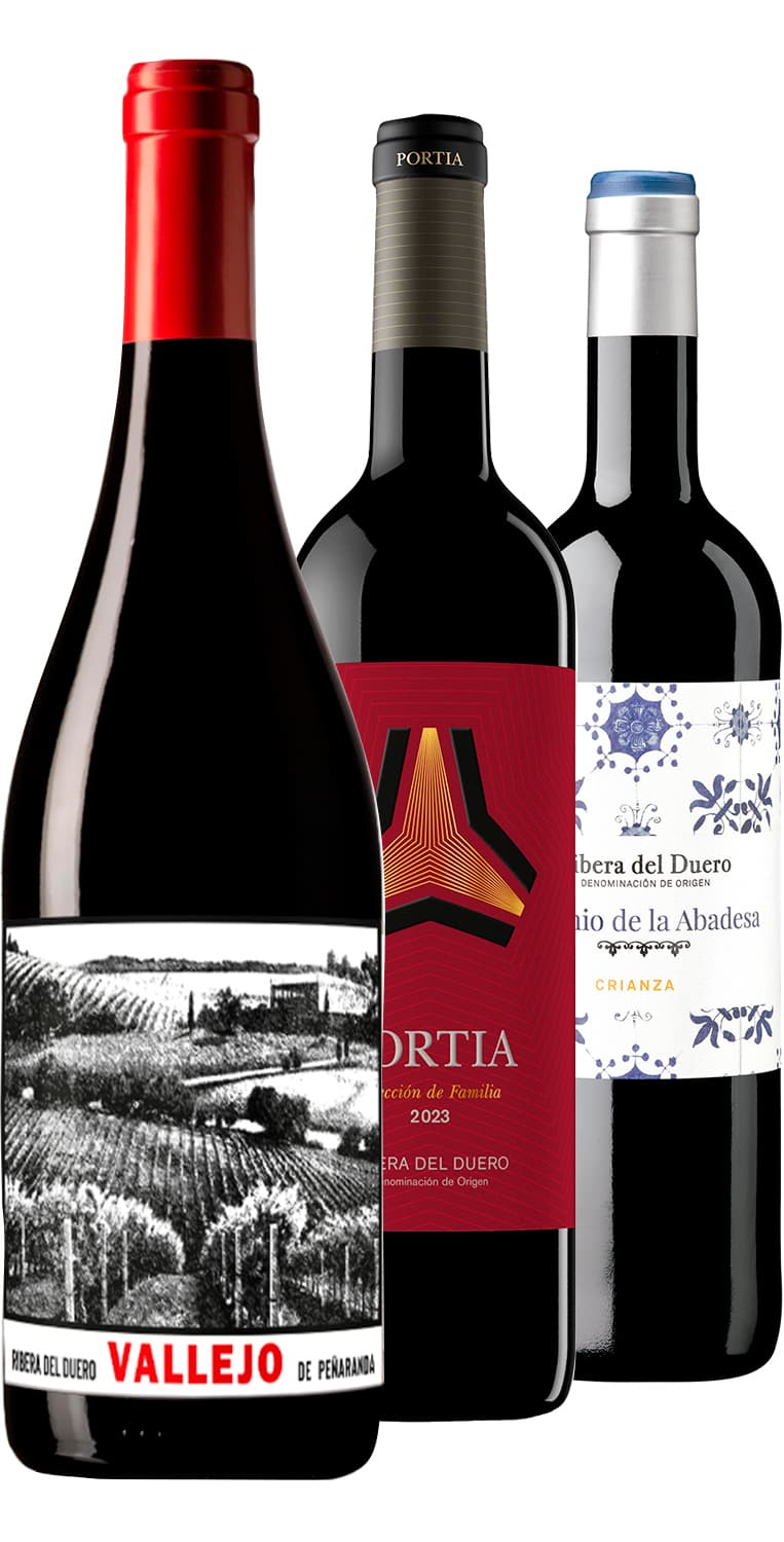 Colección vinos exclusivos de Ribera del Duero – de Vinoselección – en Vinoselección