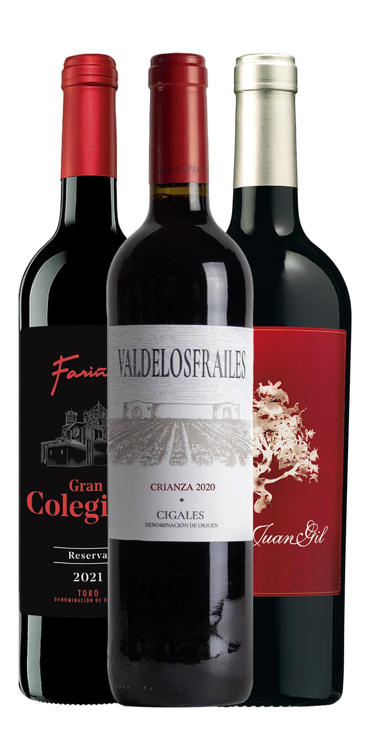 Colección otras denominaciones de origen imprescindibles – de Vinoselección – en Vinoselección