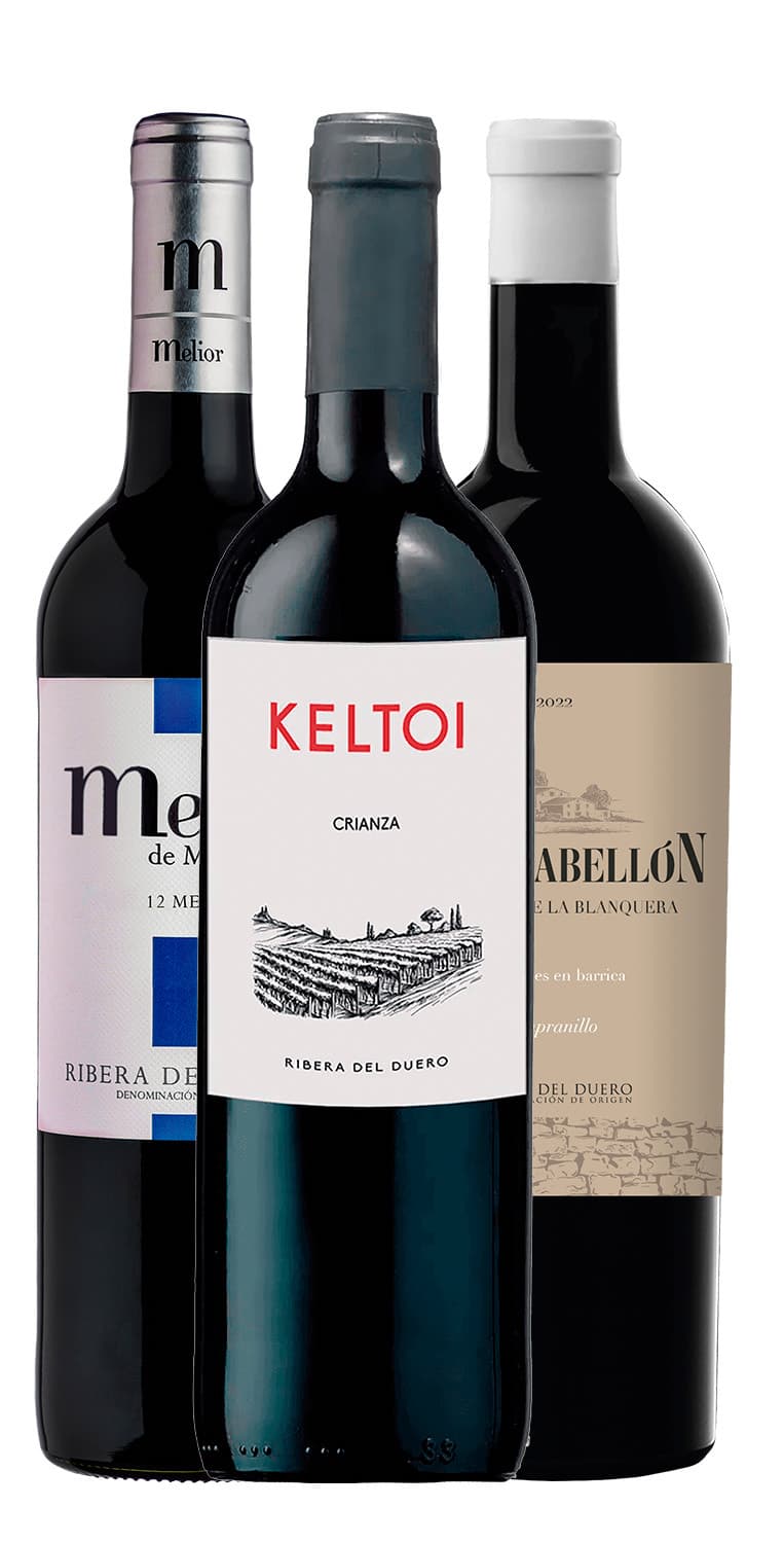 Colección Ribera del Duero imprescindible – de Vinoselección – en Vinoselección