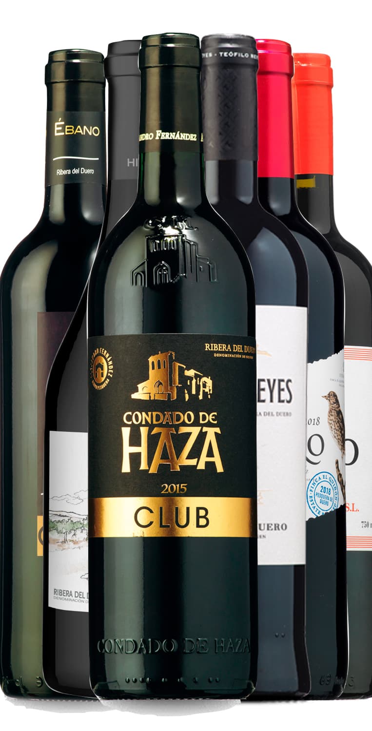 Últimas botellas de seis ‘riberas’ de excepción a precio de feria – de Vinoselección – en Vinoselección