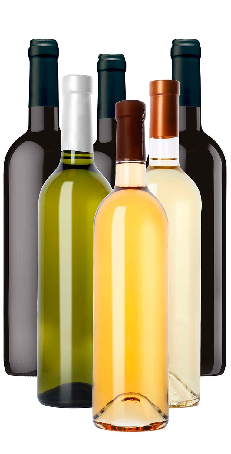 6 vinos extraordinarios a un precio irrepetible de Vinoselección – comprar
