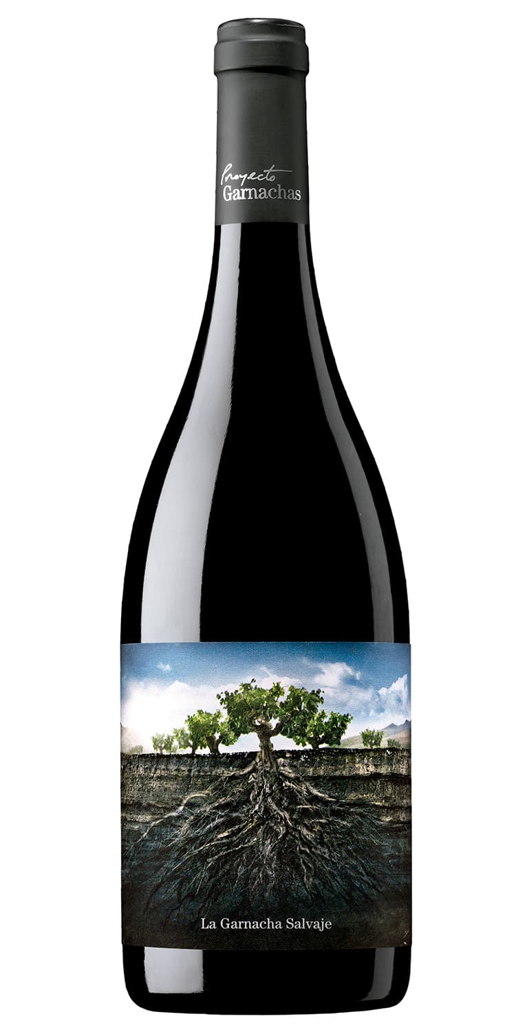 La Garnacha Salvaje del Moncayo 2022 – de Vinoselección – en Vinoselección