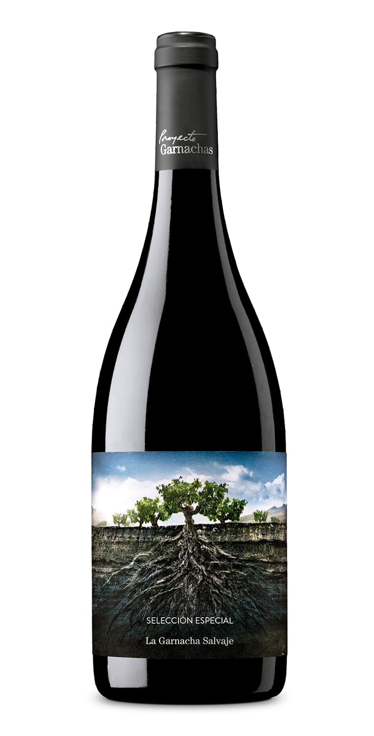 La Garnacha Salvaje Selección Especial 2020 – de Vinoselección – en Vinoselección