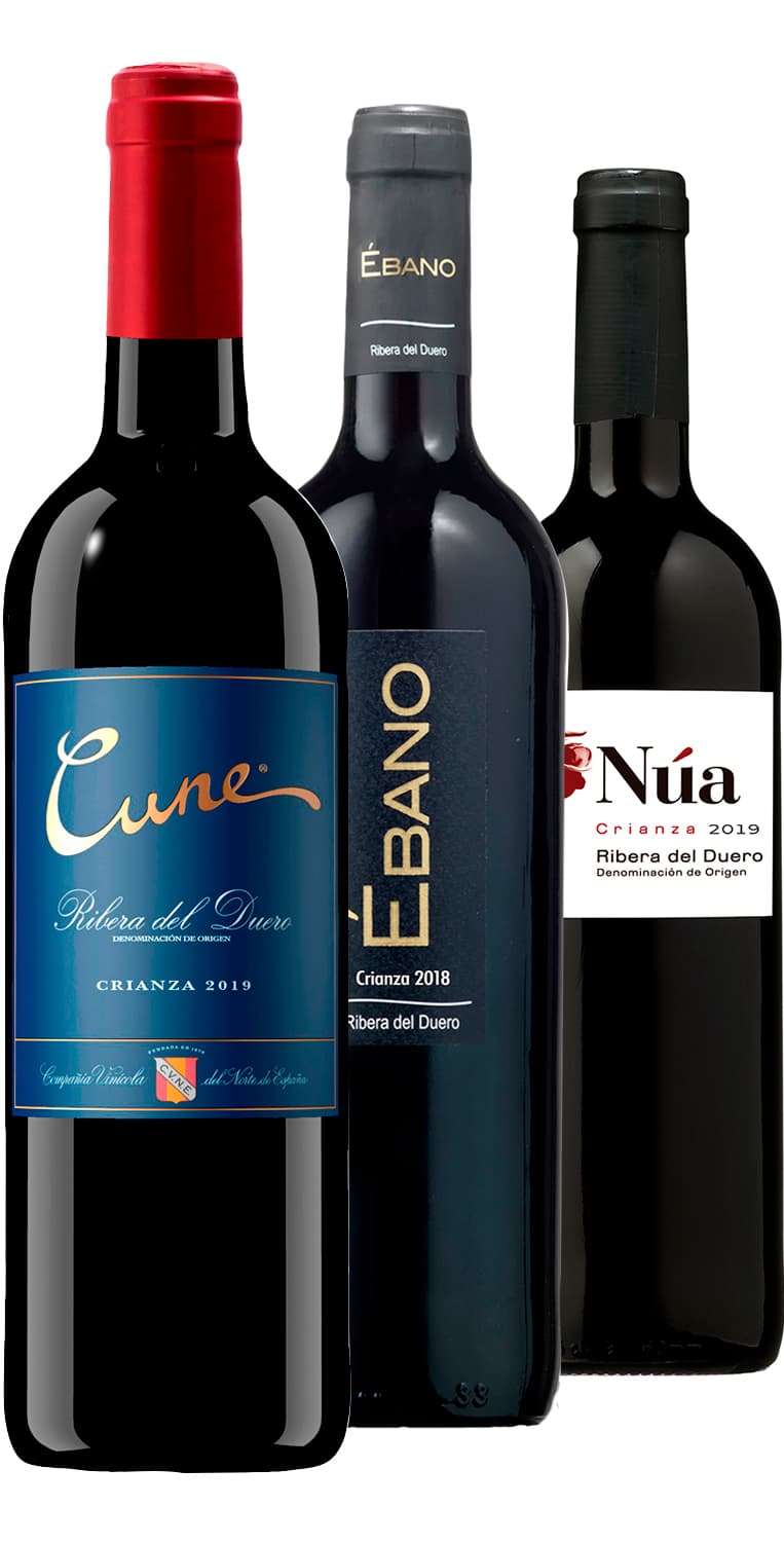 Colección ‘Hombro con hombro’ Ribera del Duero (II) – de Vinoselección – en Vinoselección