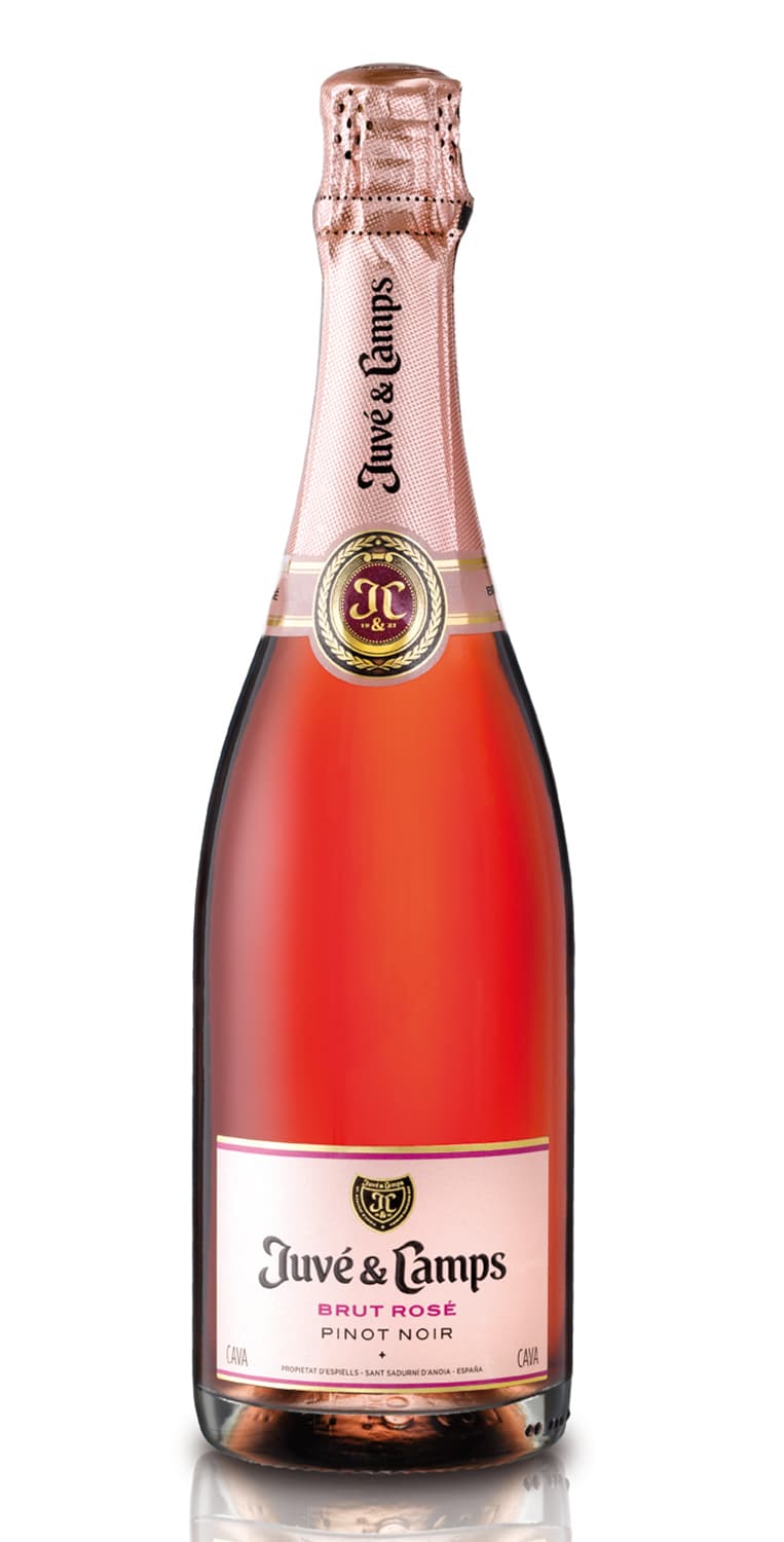 Juvé &amp; Camps Pinot Noir Brut Rosé – de Vinoselección – en Vinoselección