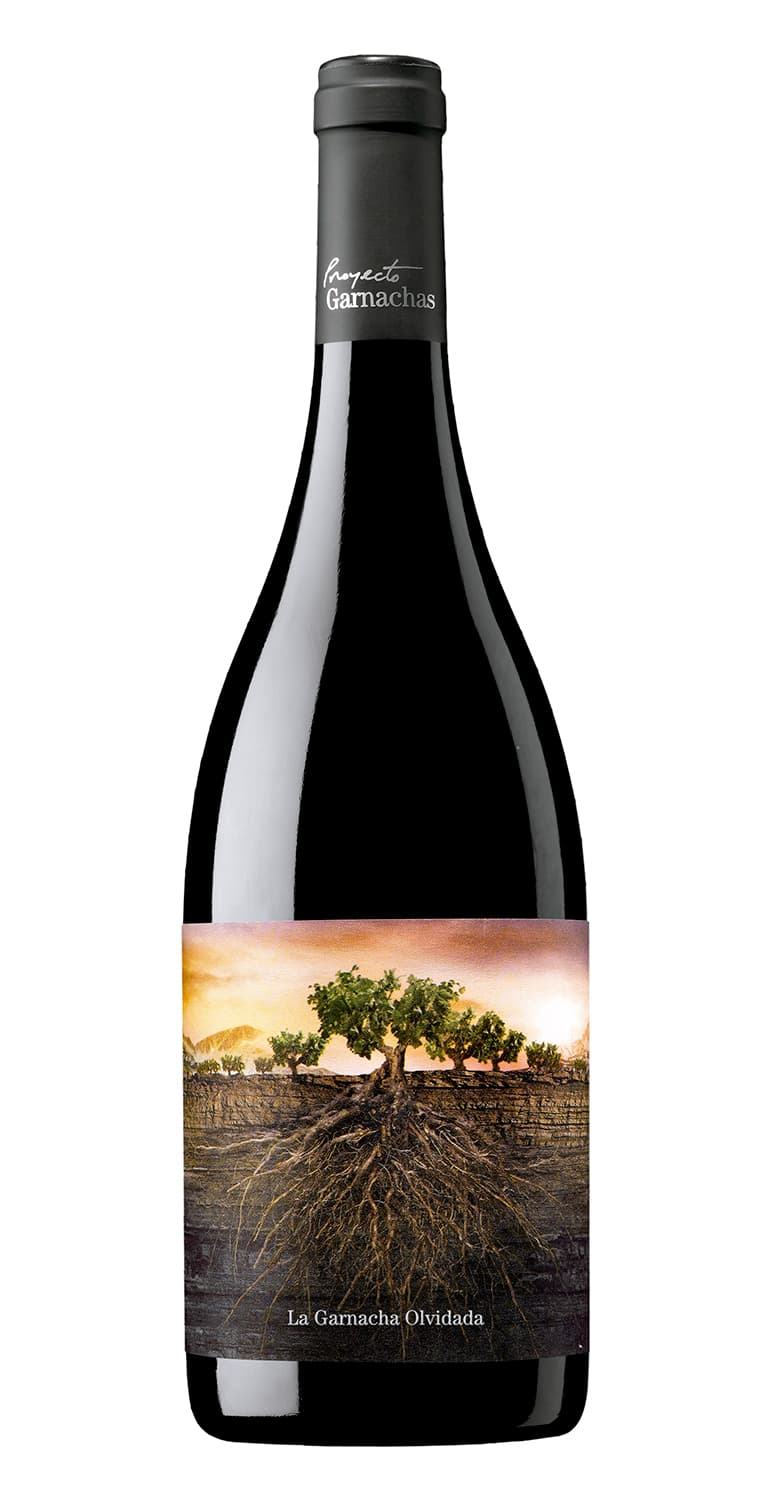 La Garnacha Olvidada 2020 – de Vinoselección – en Vinoselección