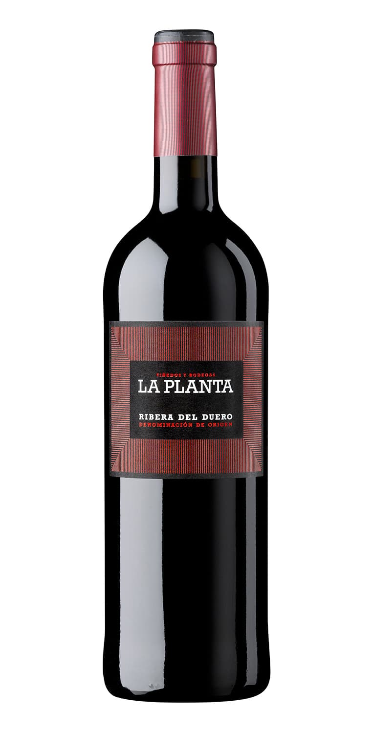 La Planta Mágnum 2023 – de Vinoselección – en Vinoselección