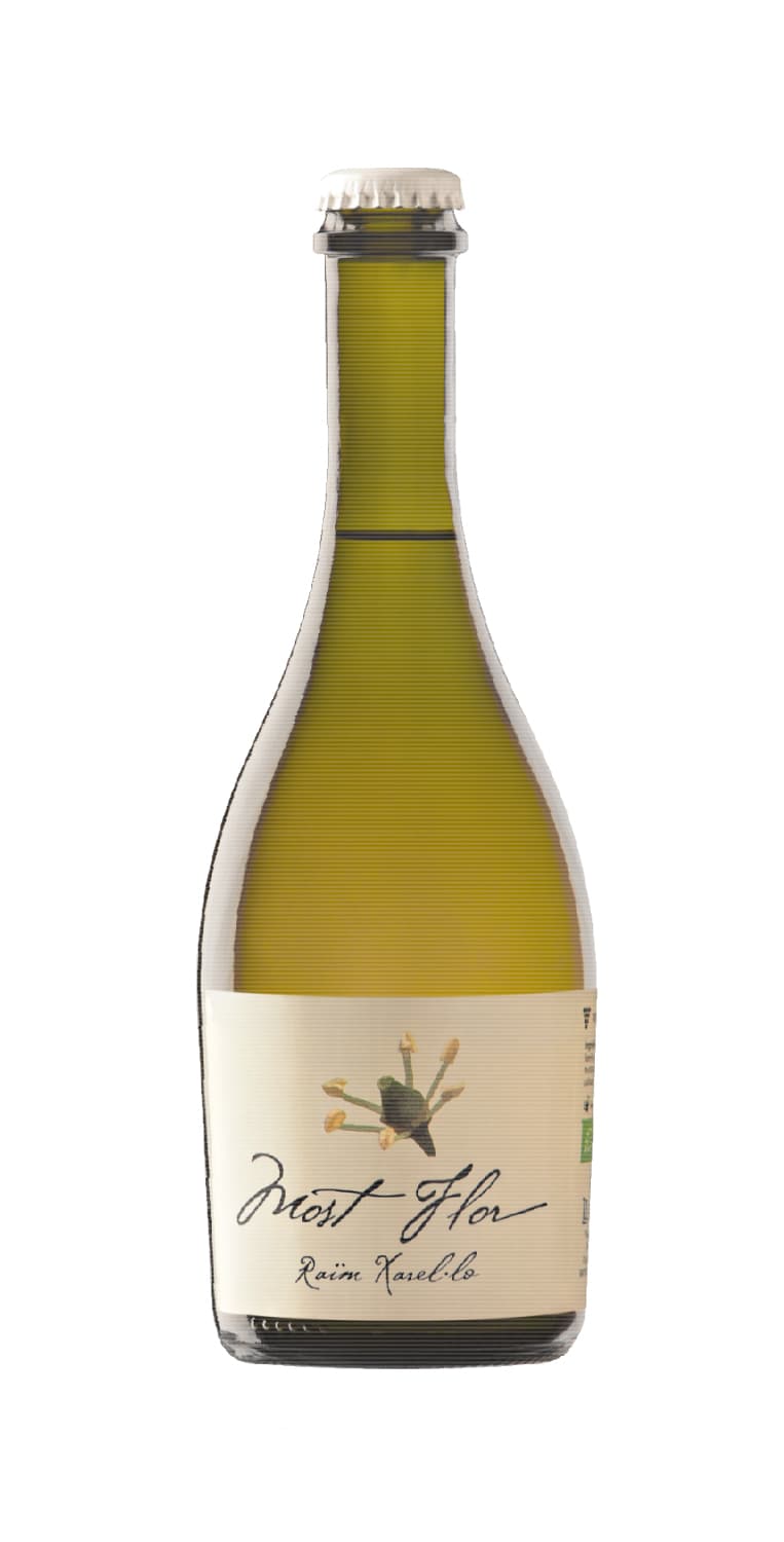 Llopart Most Flor 2025 (50 cl) – de Vinoselección – en Vinoselección