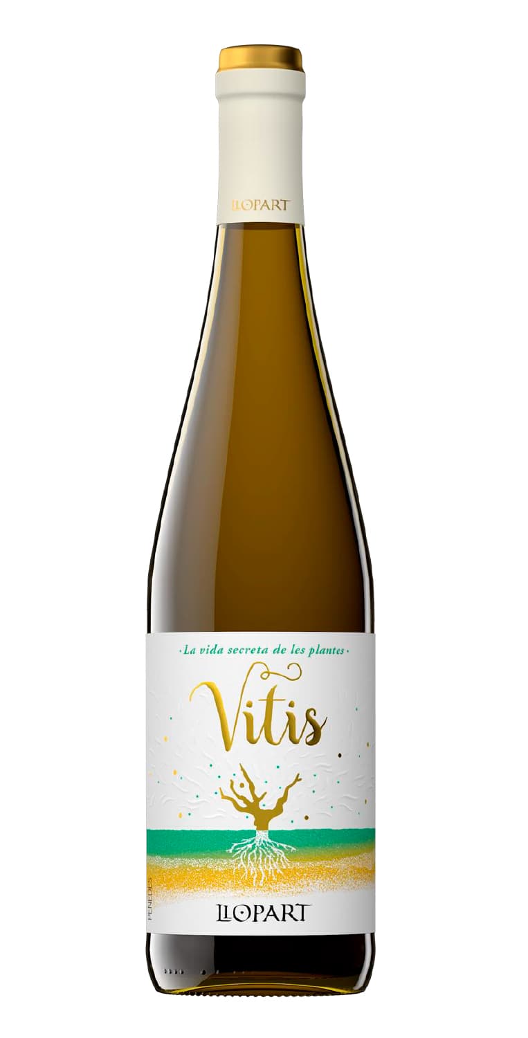 Vitis 2019 – de Vinoselección – en Vinoselección