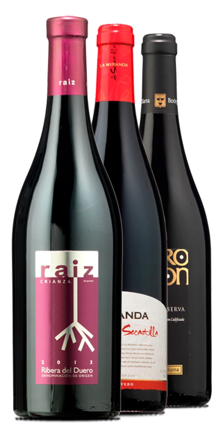 Tres grandes tintos de Rioja, Ribera del Duero y Somontano, por sólo 8 € la botella – de Vinoselección – en Vinoselección