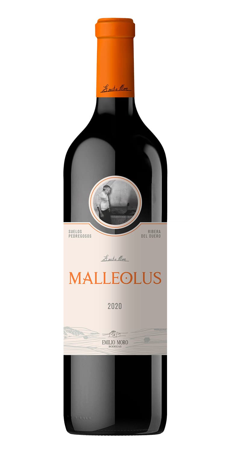 Malleolus 2020 – de Vinoselección – en Vinoselección