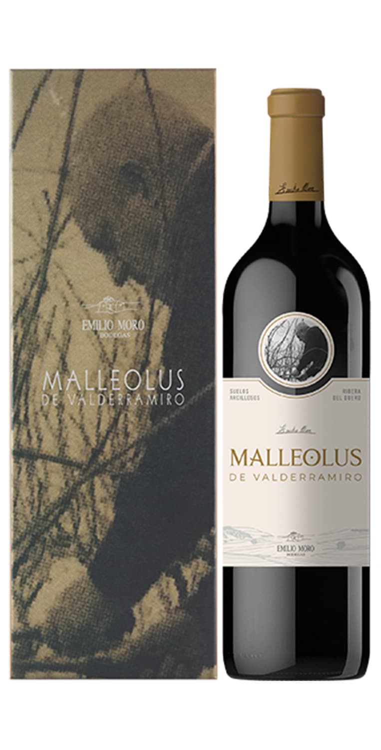 Malleolus de Valderramiro 2021 – de Vinoselección – en Vinoselección
