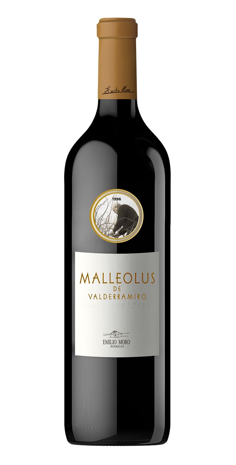 Malleolus de Valderramiro 2015 – de Vinoselección – en Vinoselección