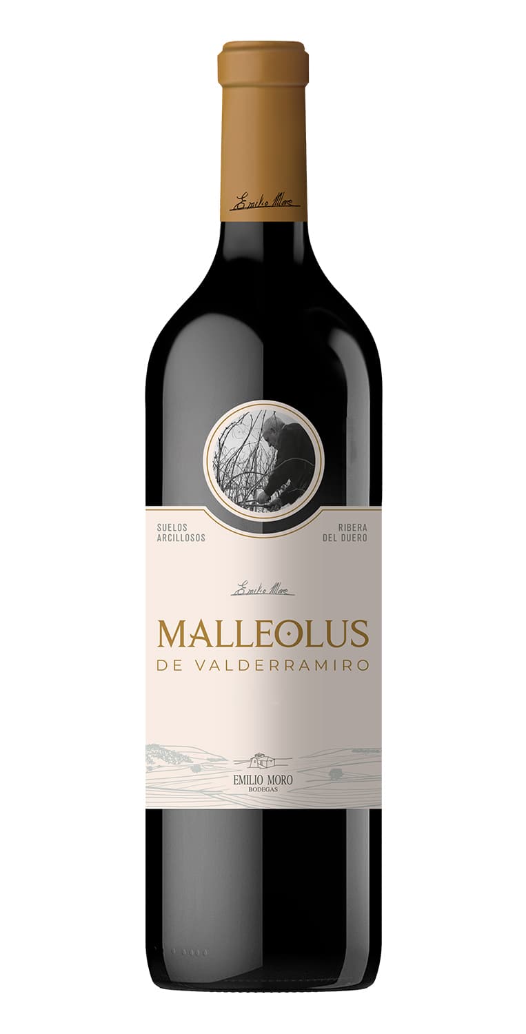 Malleolus de Valderramiro 2020 – de Vinoselección – en Vinoselección