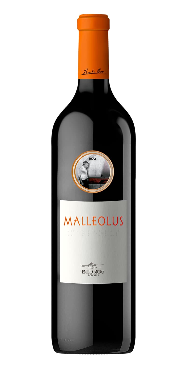 Malleolus 2019 – de Vinoselección – en Vinoselección