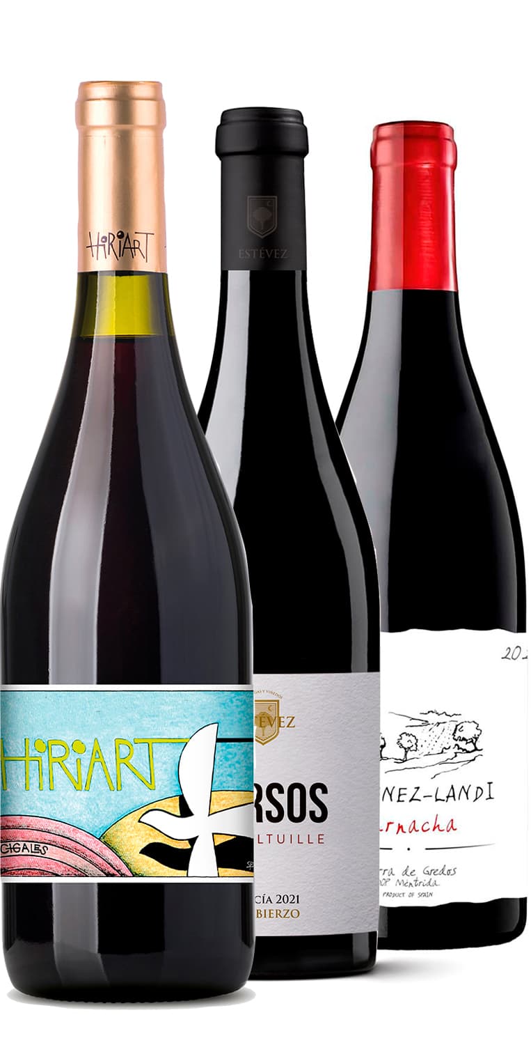 Colección Otras Denominaciones de Origen – Septiembre Mes del Vino  2024 – de Vinoselección – en Vinoselección