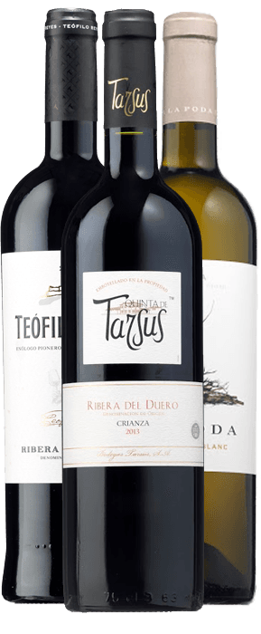 Colección Ribera del Duero – de Vinoselección – en Vinoselección