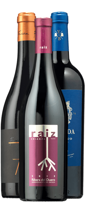 Lote Esencial Verano 2019 – de Vinoselección – en Vinoselección