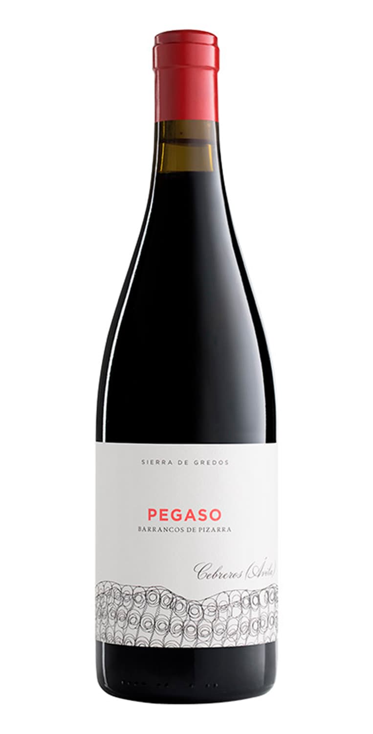 Pegaso Barrancos de Pizarra 2020 – de Vinoselección – en Vinoselección