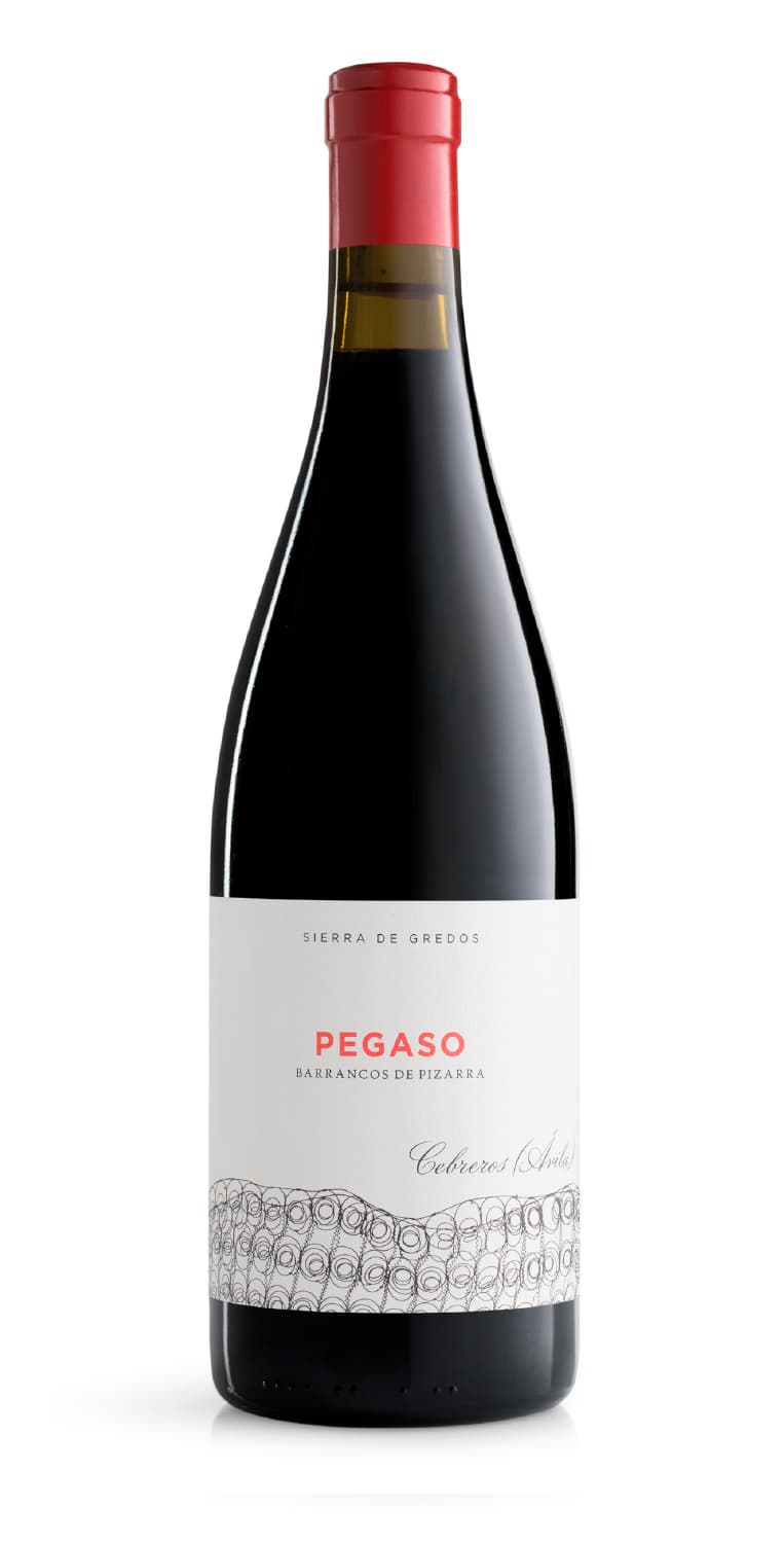 Pegaso Barrancos de Pizarra 2022 – de Vinoselección – en Vinoselección