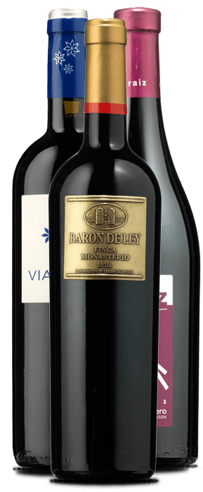 Vía Cenit 2014, Raíz de Guzmán Crianza 2013 y Barón de Ley Finca Monasterio 2015 – de Vinoselección – en Vinoselección