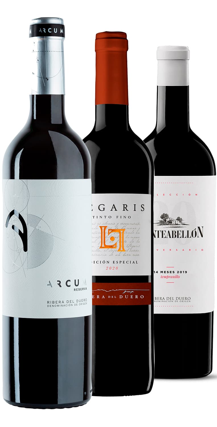 Grandes uvas de la Ribera del Duero – de Vinoselección – en Vinoselección