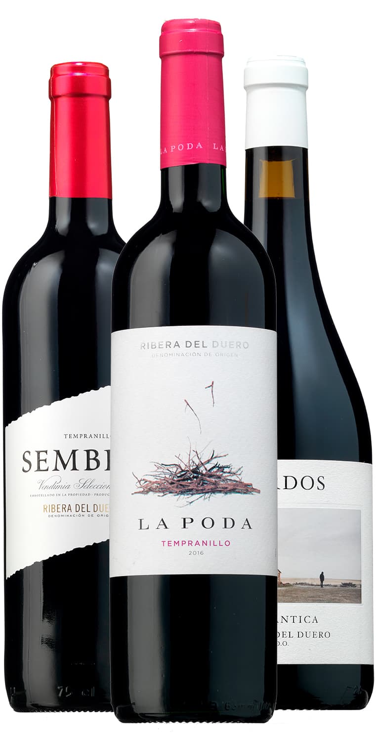 Colección Ribera del Duero Navidad 2019 – de Vinoselección – en Vinoselección
