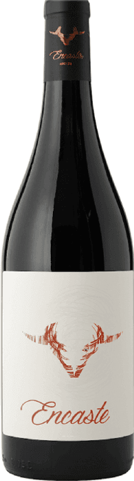 Encaste Cosecha de Bodega Doña Felisa – comprar