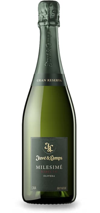 Juvé & Camps Milesimé Xarel·lo – de Juvé Y Camps – en Petit Celler